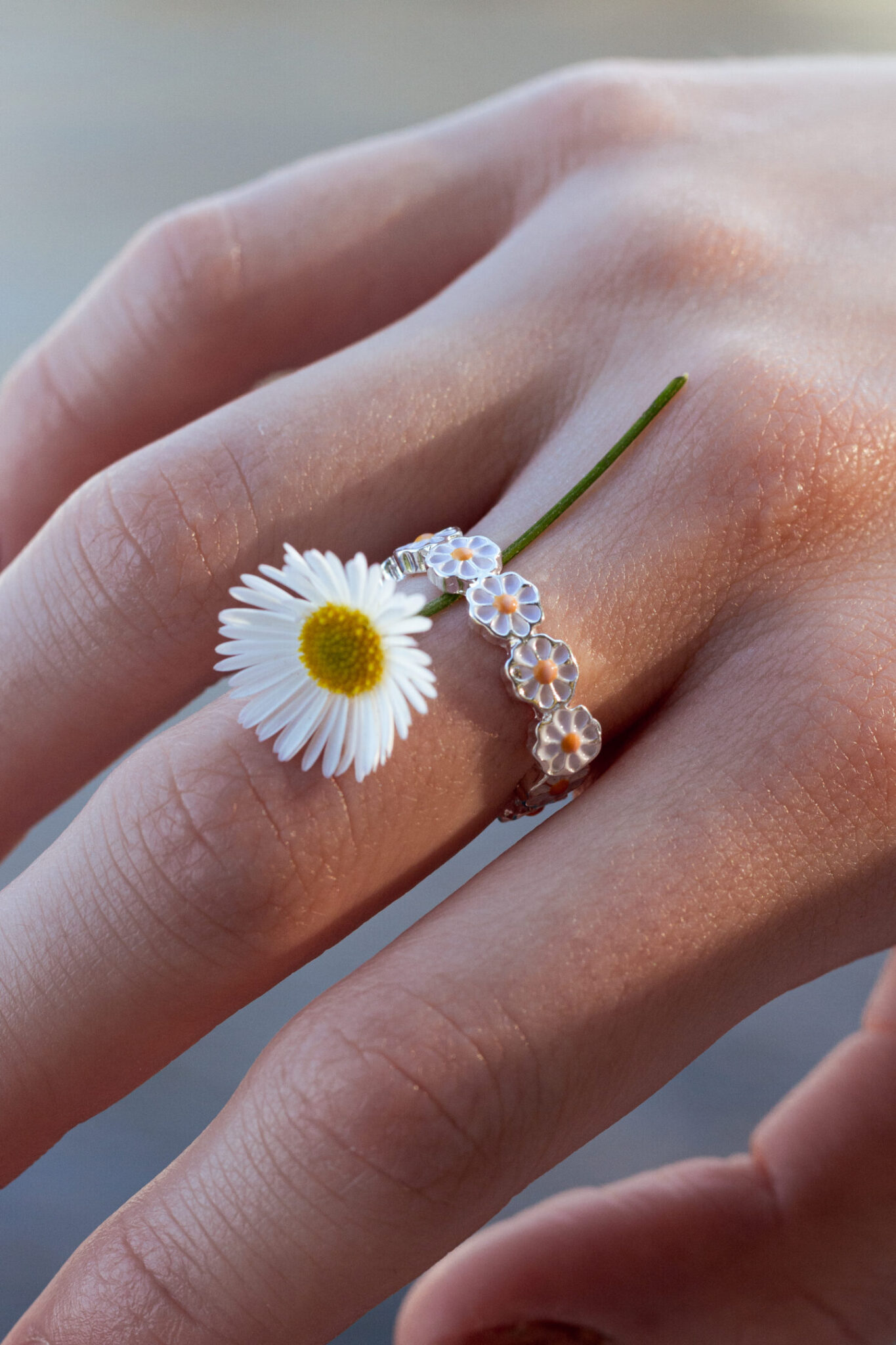 Galería ASG02 - Artística